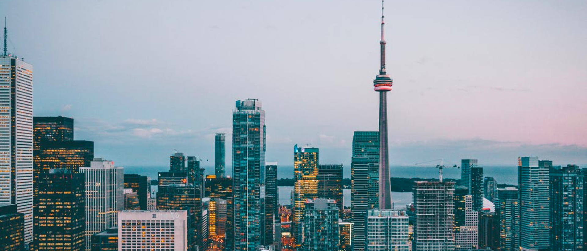 результаты поиска